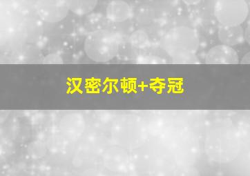汉密尔顿 夺冠
